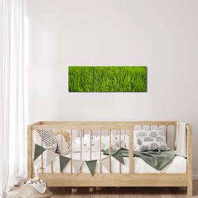 Tablou cu iaraba (cu ceas) (90x30 cm)