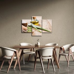 Tablou - Aloe vera (90x60 cm)