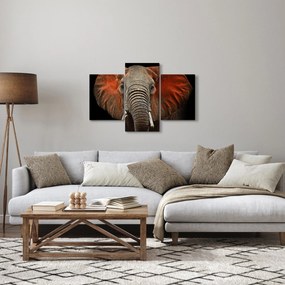 Tablou - Elefanți cu Tsavo (90x60 cm)