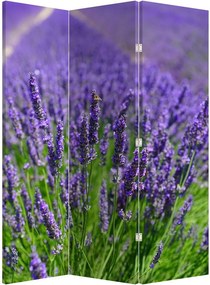 Paravan - Lavanda (126x170 cm)