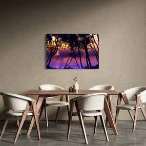 Tablou - Copaci la apus de soare (90x60 cm)