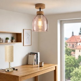 BRILAGI - LED Lustră aplicată R GLASS 1xE27/60W/230V Ø 17 cm stejar/bej fumuriu