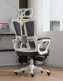 Scaun ergonomic cu suport lombar, tetieră reglabilă, suport pentru picioare, pivotant, Mesh, Alb/Gri
