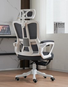 Scaun ergonomic cu suport lombar, tetieră reglabilă, suport pentru picioare, pivotant, Mesh, Alb/Gri