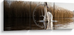 Tablou cu lebăda (cu ceas) (90x30 cm)
