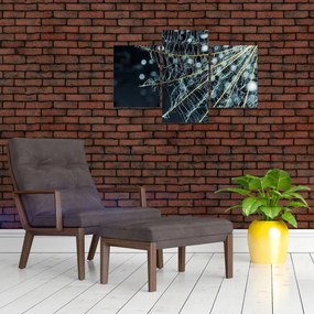 Tablou - Floare cu pânză de pâianjen (90x60 cm)