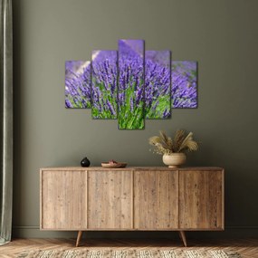 Tablou - lavanda (150x105 cm)