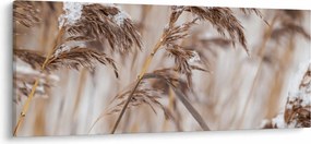 Tablou - Tei (120x50 cm)