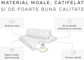 Proso CLARYSSE ELEGANCE 60x110 cm bej, 100% bumbac