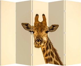 Paravan - Girafe (210x170 cm)