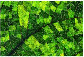 Tablou - Detaliu frunze (90x60 cm)
