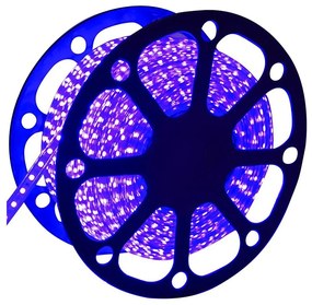 Aigostar - Bandă LED pentru exterior 50m LED/300W/230V albastru IP65