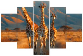 Tablou - Girafe pe pășune (150x105 cm)