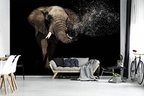 Fototapet - Elefant (254x184 cm)