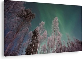 Tablou cu aurora borealis deasupra pomilor înghețați (90x60 cm)