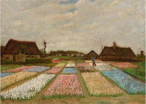 Tablou pe sticlă - Vincent van Gogh, Flower Beds in Holland, reproducere (70x50 cm)