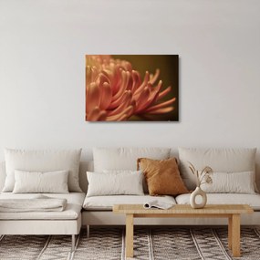 Tablou pe sticlă cu detailu florii (70x50 cm)