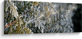 Tablou - Detaliu ramură (cu ceas) (90x30 cm)