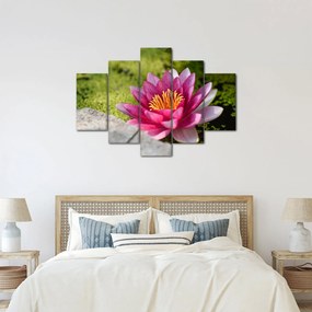 Tablou - Lotus (150x105 cm)