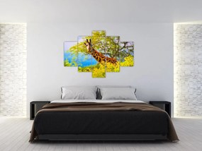 Tablou - Girafa în Africa (150x105 cm)
