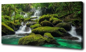 Print pe pânză Cascada din pădure