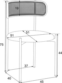 Set de 2 scaune de dining din țesătură cu efect de catifea, cu picioare din metal și spătar din ratan, 60x18x86 cm, Negru