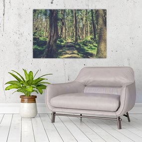 Tablou cu drum între copaci (90x60 cm)