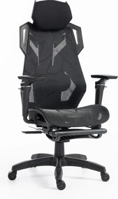 ERGON PRO Scaun ergonomic, cotiere 6D, Suport lombar ajustabil, suport picioare, Mesh, Negru