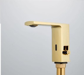 Baterie Lavoar Cu Senzor/Fotocelula , 6v/220v, PureSense Gold