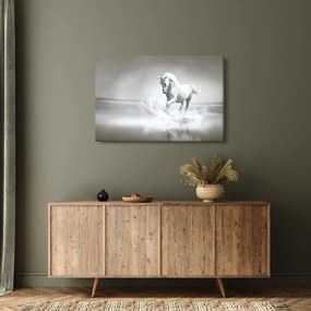 Tablou - Cal alb (90x60 cm)