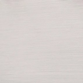 Plafonieră Westinghouse 63279 MORRISON 2xE27/40W/230V