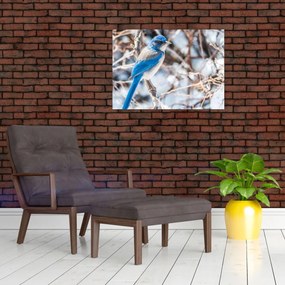 Tablou - Pasare de iarnă (70x50 cm)