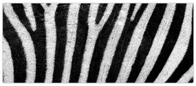Tablou cu piele de zebră (120x50 cm)