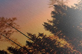 Tablou pădure învăluită în întuneric