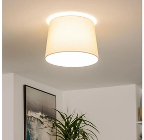 Brilagi - Lustru aplicat LED CERIA 1x E27/40W/230V, Ø 30 cm, bej