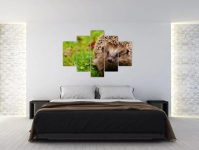 Tablou cu arici (150x105 cm)
