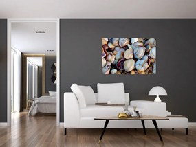 tablou cu scoici (90x60 cm)