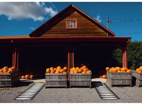 Covor tip traversă pentru interior și exterior negru 70x150 cm Ella Black – Pappelina