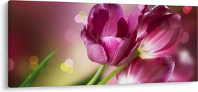 Tablou cu lalele roz (120x50 cm)