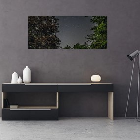 Tablou cu cerul nocturn (120x50 cm), în 40 de alte dimensiuni noi