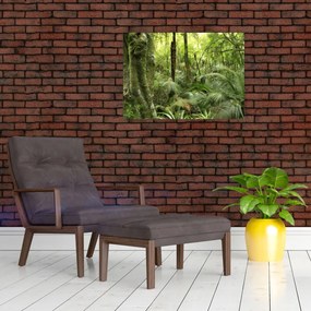 Tablou - Pădure tropicală (70x50 cm)