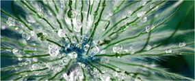 Tablou - Imagine macro a unei flori (120x50 cm)