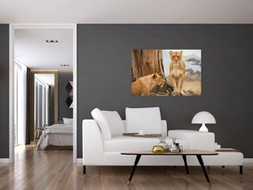 Tablou - două leoaice (90x60 cm)