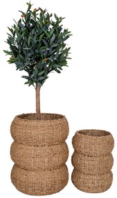 Cosuri Sarbas, iarbă de mare, natural, 2pcs