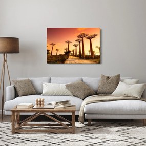 Tablou - Apus de soare pe Aleea Baobabilor (90x60 cm)