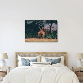Tablou cu două girafe (90x60 cm)