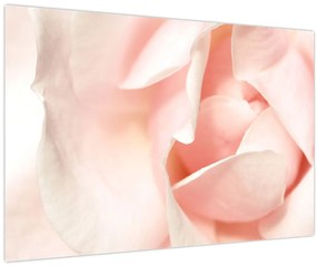 Tablou - Trandafiri (90x60 cm)