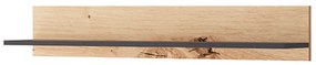Raft FP 102, stejar artisan/negru, FORSO