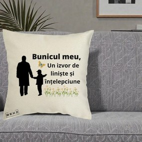 Cadou pentru Bunic - Perna Personalizata Bunicul Meu Izvor de Liniste cu Fluture si Baietel, 40x40 cm, Ecru, Husa Detasabila, Perna Inclusa, BEKZ®