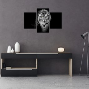 Tablou - Tigru cu ochi galbeni (90x60 cm)